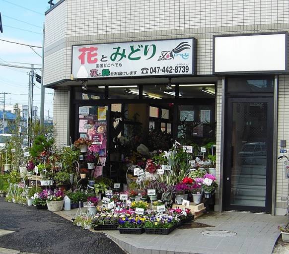 「エフブティックローゼ」　（千葉県鎌ケ谷市）の花屋店舗写真1