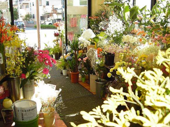「エフブティックローゼ」　（千葉県鎌ケ谷市）の花屋店舗写真2